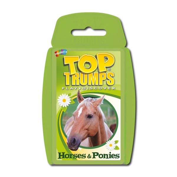Horses and Ponies - Ages 6+