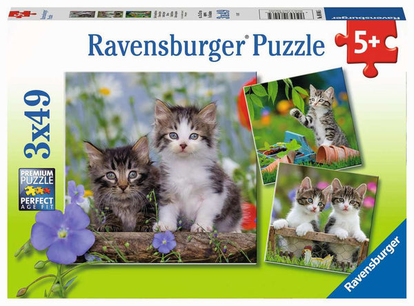 3 x 49 pc puzzle: Cuddly Kittens - Ages 5+