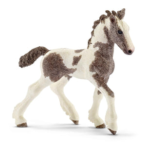 Tinker Foal - Ages 3+