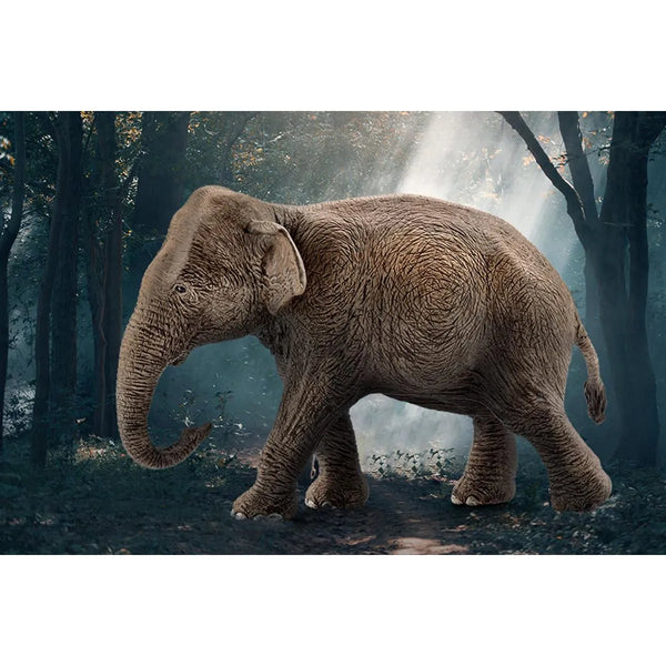 Schleich: Asian Elephant: Female - Ages 3+