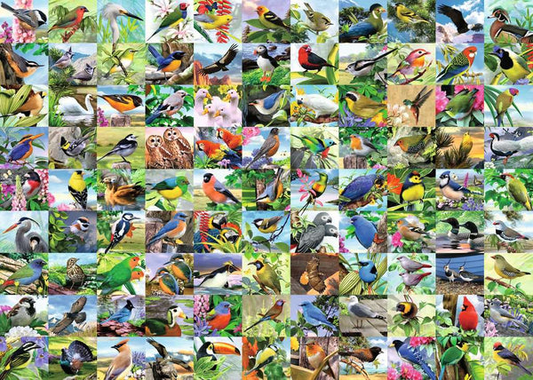 300 pc puzzle: 99 Delightful Birds - Large Format - Ages 9+