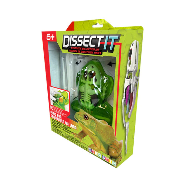Dissect It: Synthetic Dissection Kit Frog Lab - Ages 6+