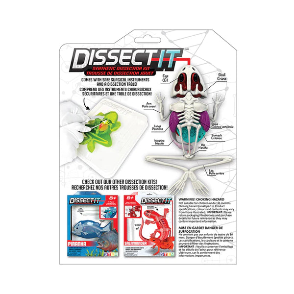 Dissect It: Synthetic Dissection Kit Frog Lab - Ages 6+