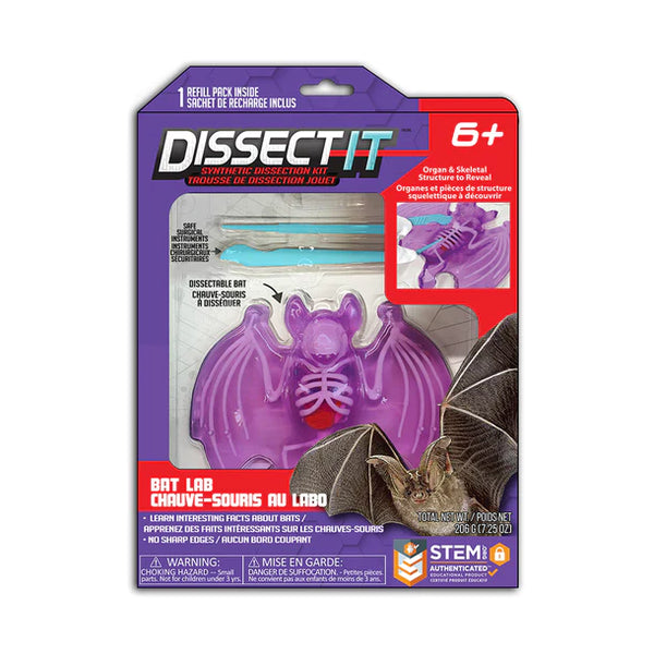 Dissect It: Synthetic Dissection Kit Bat Lab - Ages 6+