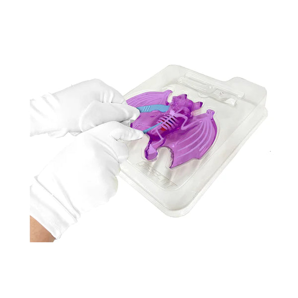 Dissect It: Synthetic Dissection Kit Bat Lab - Ages 6+