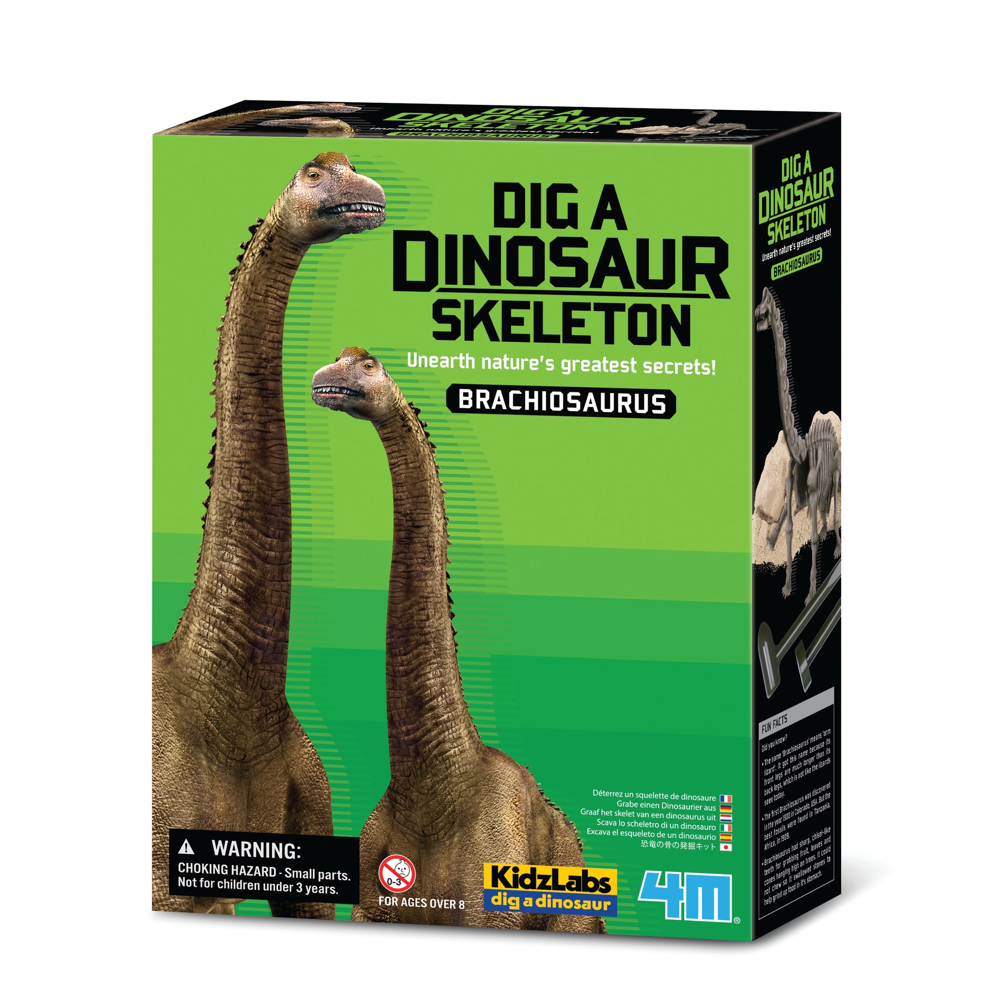 4M: Dig a Brachiosaurus - Ages 8+