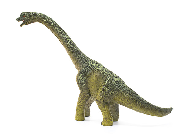 Brachiosaurus - Ages 3+