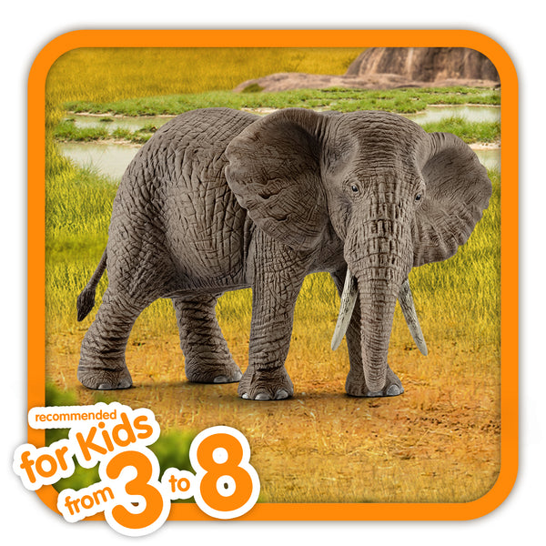 Schleich: African Elephant, Female - Ages 3+