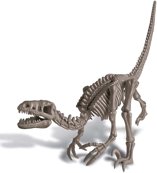 Dig a Velociraptor Dinosaur Skeleton - Ages 8+