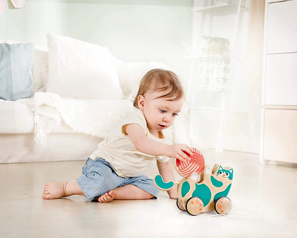 Hape: Roll & Rattle Kitten Pull Along - 12mths+