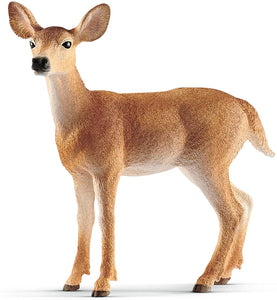 White-Tailed Doe - Ages 3+