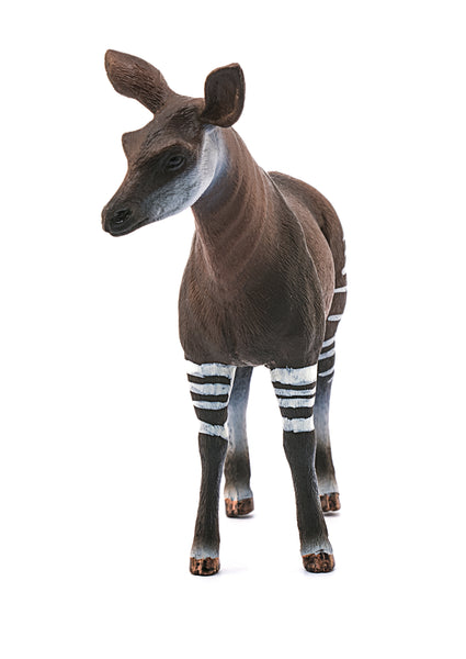 Okapi - Ages 3+
