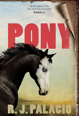 Pony - Ages 10+
