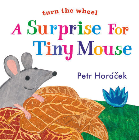 A Surprise for Tiny Mouse - Ages 0+