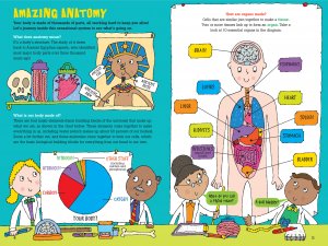 100 Questions About the Human Body - Ages 7+