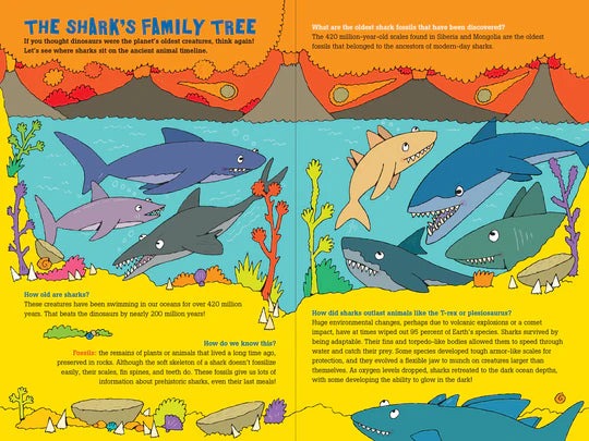 100 Questions About Sharks - Ages 7+