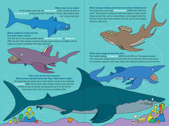 100 Questions About Sharks - Ages 7+