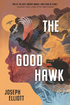 The Good Hawk (Shadow Skye #1) Ages 12+