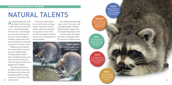 Exploring the World of Raccoons - Ages 7+