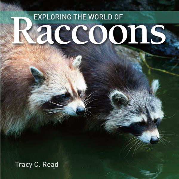 Exploring the World of Raccoons - Ages 7+
