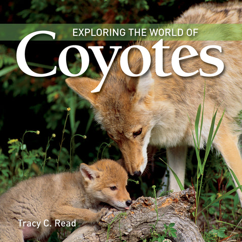 Exploring the World of Coyotes - Ages 7+