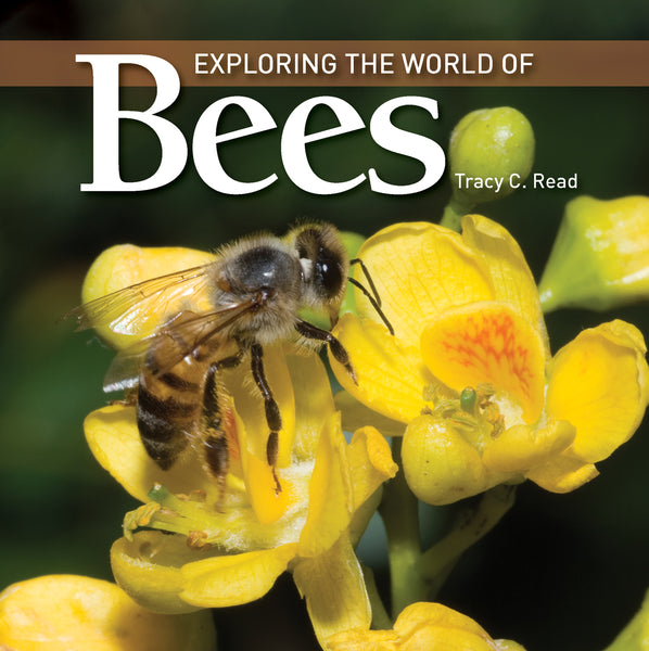 Exploring the World of Bees - Ages 7+