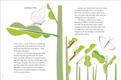 PB: My Book of Butterflies - Ages 3+