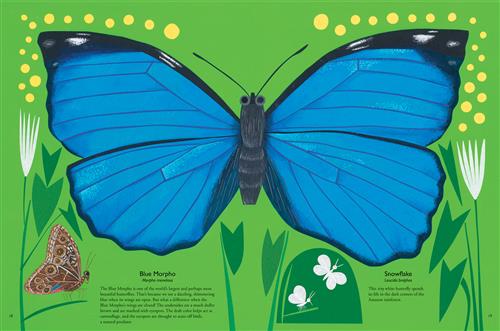 PB: My Book of Butterflies - Ages 3+