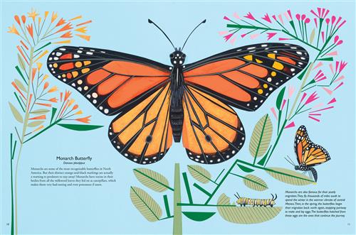 PB: My Book of Butterflies - Ages 3+