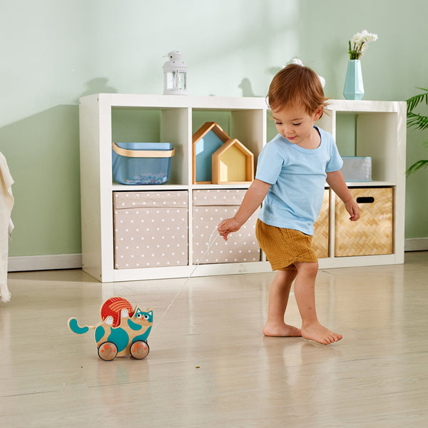 Hape: Roll & Rattle Kitten Pull Along - 12mths+