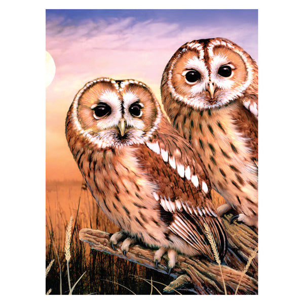 Painting by Number: Tawny Owls - Ages 8+
