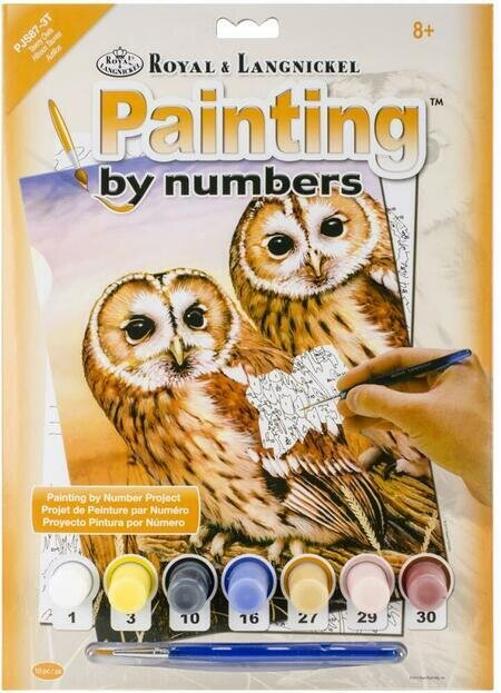 Painting by Number: Tawny Owls - Ages 8+