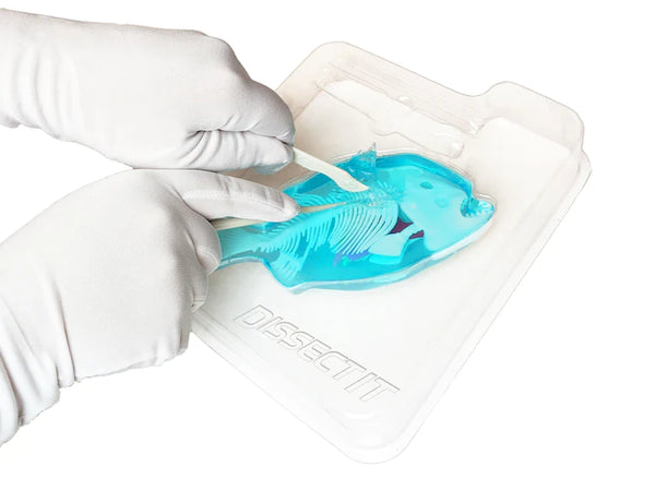 Dissect It: Synthetic Dissection Kit Piranha Lab - Ages 6+