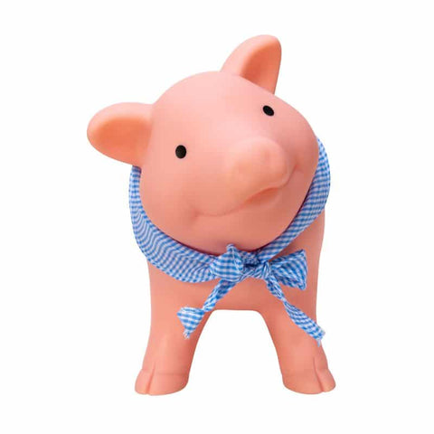 Rubber Piggy Bank - Ages 3+