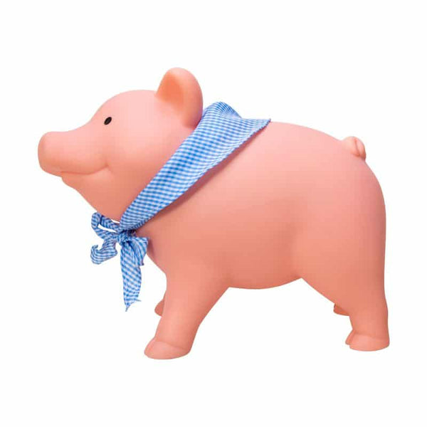 Rubber Piggy Bank - Ages 3+