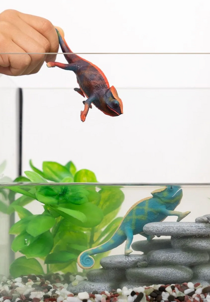 Schleich: Chameleon - Ages 3+