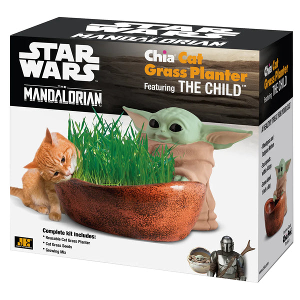 Chia Cat Grass Planter: The Child - Ages 6+