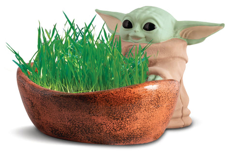 Chia Cat Grass Planter: The Child - Ages 6+
