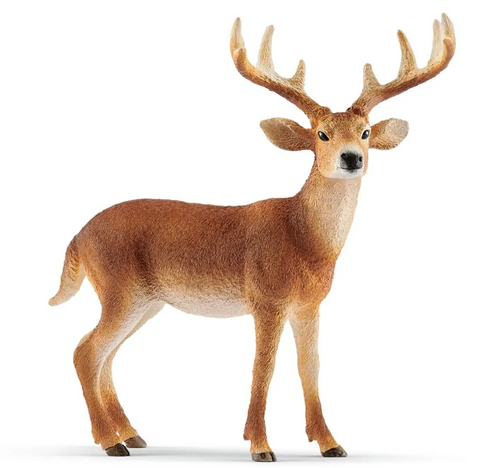 Schleich: White-Tailed Buck - Ages 3+