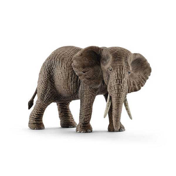 African Elephant, Female - Ages 3+
