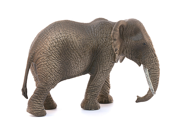 Schleich: African Elephant, Female - Ages 3+