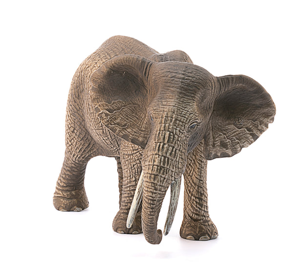 African Elephant, Female - Ages 3+
