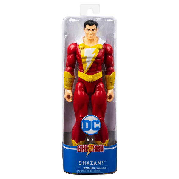 12" DC Figures: Multiple Styles Available - Ages 3+