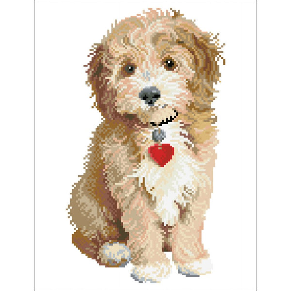 Lovely Boy - Intermediate - Ages 13+
