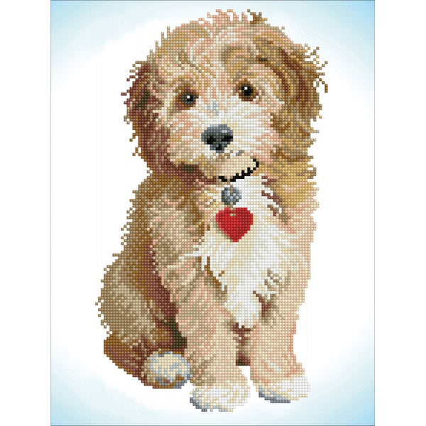 Lovely Boy - Intermediate - Ages 13+