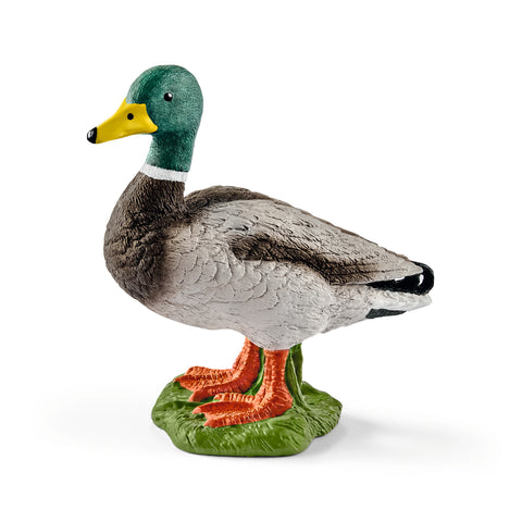 Schleich: Drake - Ages 3+