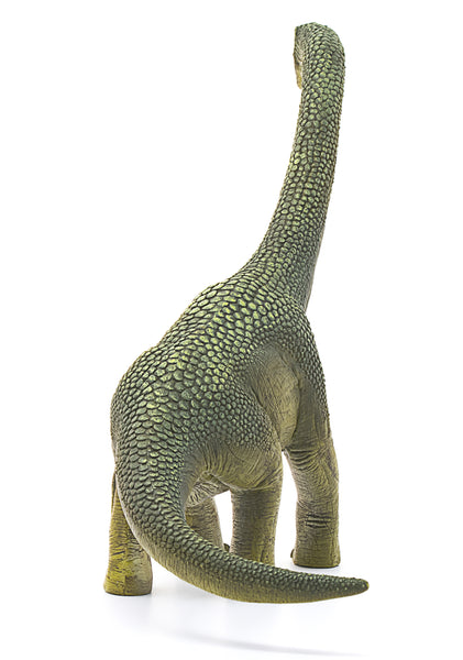 Brachiosaurus - Ages 3+