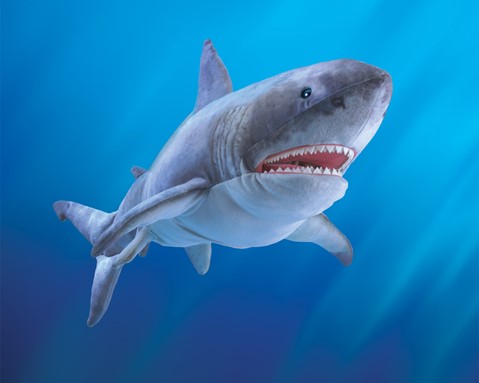 Folkmanis: Great White Shark Puppet - Ages 3+