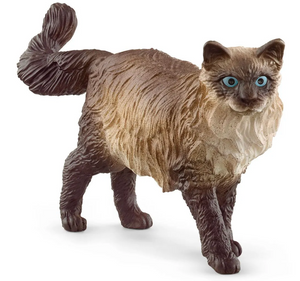 Schleich: Ragdoll Cat - Ages 3+