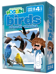 Professor Noggin Birds